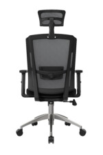 Delphi II Presidente - Imagen 3