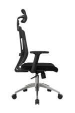 Delphi II Presidente - Imagen 2
