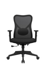 Bug Gerente - Imagen 5