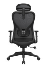 Bug Presidente - Imagen 3