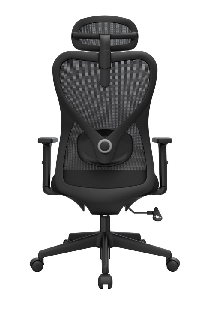 Bug Presidente - Imagen 3