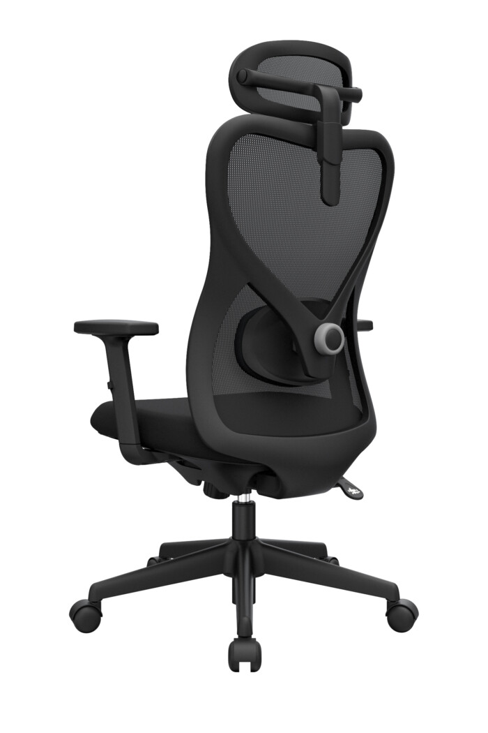 Bug Presidente - Imagen 4
