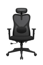 Bug Presidente - Imagen 5