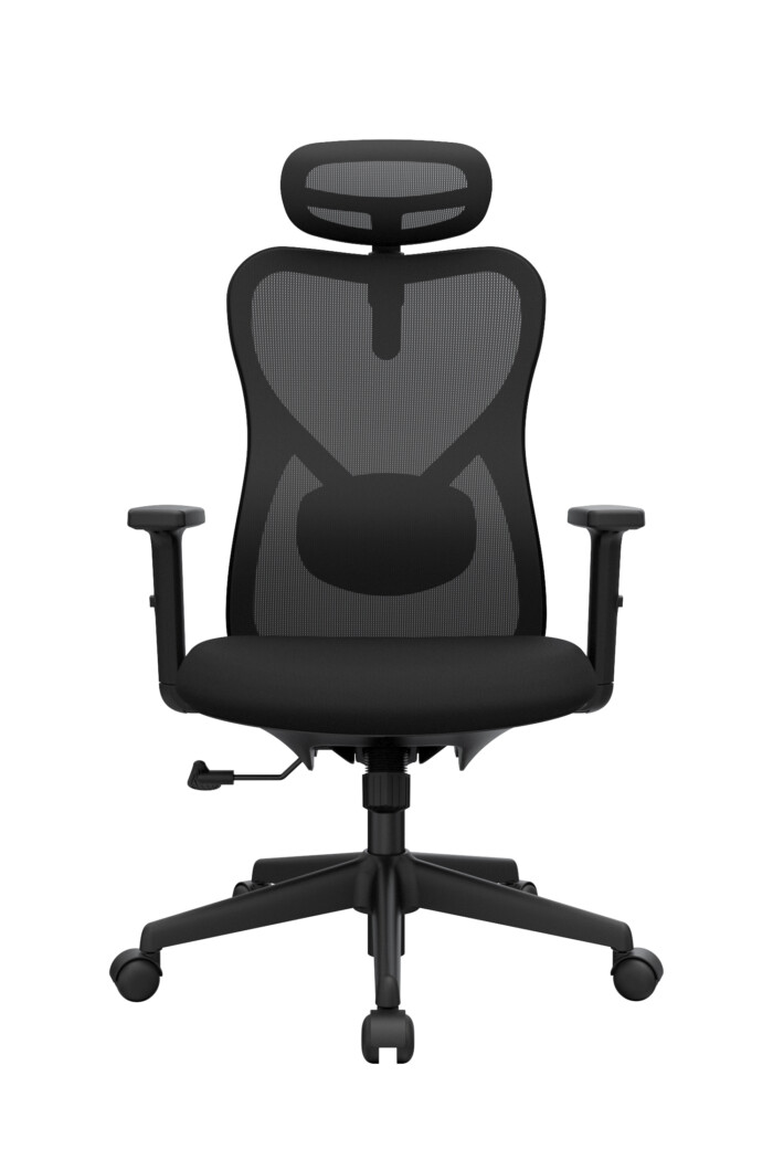 Bug Presidente - Imagen 5