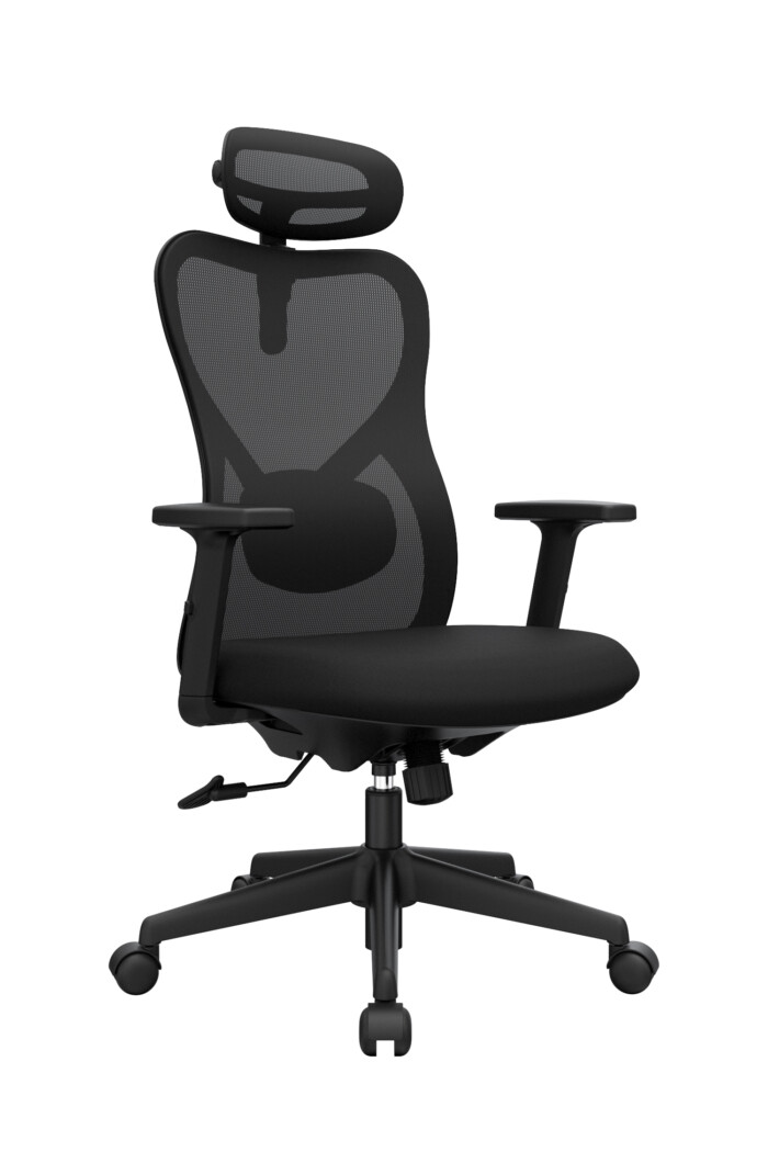 Bug Presidente - Imagen 1