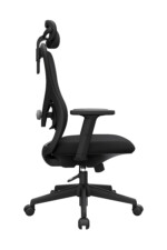 Bug Presidente - Imagen 2